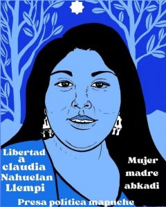 Claudia Nahuelan, ppm Gobierno de Boric y coalición (Gráfica de @antuhozeh)