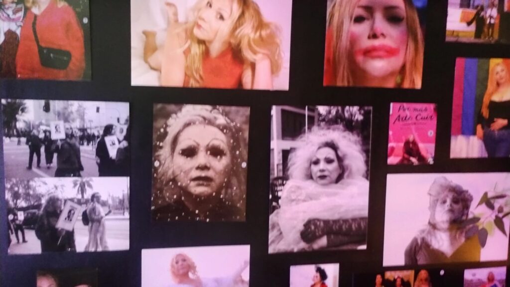 WhatsApp Image 2025-12-02 at 19.52.43 (1)